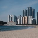 웨스틴 조선 부산 후기 ｜ 해운대 클래식 5성, 파노라마 라운지·오킴스 솔직 리뷰