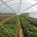 해순농장 이미지