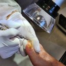 더클래식요양원 이미지