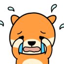 제주렌트카㈜ 이미지
