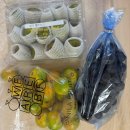 바닐라(banila) | 먹는 고품질 온라인 과일쇼핑몰 <바닐라프루츠 BANILA FRUITS> 내돈내산 솔직후기 - 세븐팩 미니, 소량과일