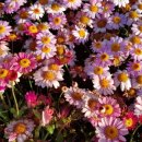 삼산체육관역 이미지