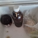 우와 오늘 저녁메뉴는 배추된장국 이미지