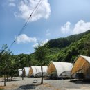 천안 트리하우스 이미지