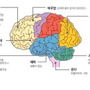 블랙아웃