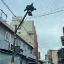 해보면사무소 이미지