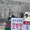 (주)아하엔터테인먼트 | [OPIc] 2025.03.23 오픽 시청센터 AL 후기 (문제, 답변, 독학, tip)