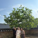 정헤어스케치 이미지