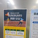 감성초등학교 | 풋살장 추천! 직접 다녀온 해밀동풋살장 후기｜감성초등학교 ·금강 스포츠운동장 비교 (예약·주차...