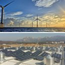 제주마을태양광발전소 이미지