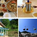 대주민박 이미지