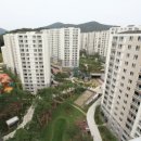 감자부동산중개사무소 이미지