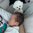 너애개만 | 2025, 11월 애개육아 시작 -(feat. 신생아피내용접종)