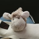 운정목장 이미지