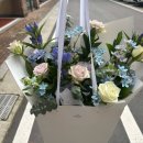 도마한의원 | [서판교] HBD 서프라이즈 선물_Airpods4 &amp; 생일점심식사_비스트로도마