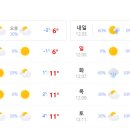 댕이의하루 이미지