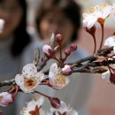 파랑새2 이미지