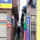로타리건재 이미지