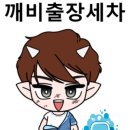 유림세차