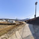 당지농장 네이버블로그
