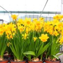 선바위가든 이미지