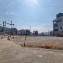 홈마트앞 버스정류장 | 라피니엘 홈마트 도보 몇 분? 직접 걸어본 리얼 후기