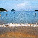 뉴아우토반카 이미지