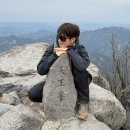 속리산 법주사 | 속리산 등산코스 법주사 산행 천왕봉 최단코스 후기