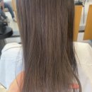 도영1호 이미지