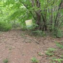 금오농장 이미지