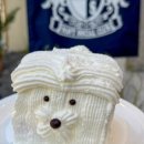 카페네이비 이미지