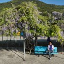 냉천어촌체험마을 이미지