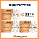 경주 태양광발전소 이미지