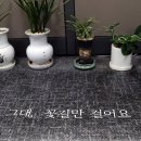 꽃길의원 이미지