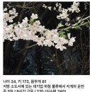 결혼 포기했다는 30대 남자의 삶. 이미지