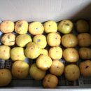 웅포농장 이미지