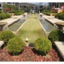 왕길새싹공원 이미지