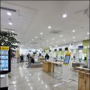 논산시청 | [논산 일상] 반차 내고 5살 아기 첫 여권 발급 (논산 시청 양식/기간) &amp; 림스 카스텔라 빵지 순례
