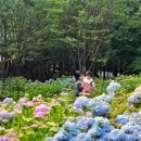 제천누림펜션 | [공지] 아기랑호캉스 다녀온 17곳 비교 아기랑갈만한호텔 추천