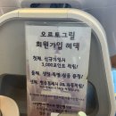 오르토