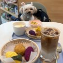 삐약네 새참 이미지