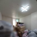 H2309 이미지