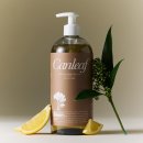 밸런스 바디 디자인 이미지