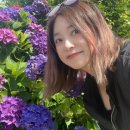 해마루민박 이미지