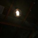 더블라이프