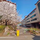 대곶초병설유치원 이미지