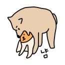 백양사 먹거리타운 이미지