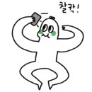카페리수상레져