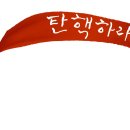 당신의 반려동물도 시위에 참여(하는 느낌의 이미지 합성)해보세요! 이미지