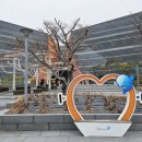 엑스포대로,오동도로 이미지